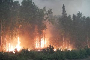 alaska fires