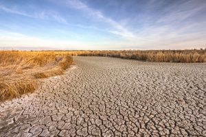 california-drought-desalination-2