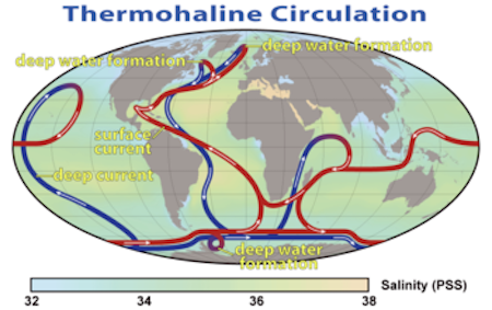 Thermohaline_Circulation