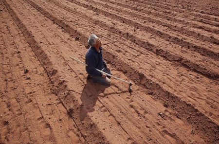 Dried Out Farmland in Inner Mongolia