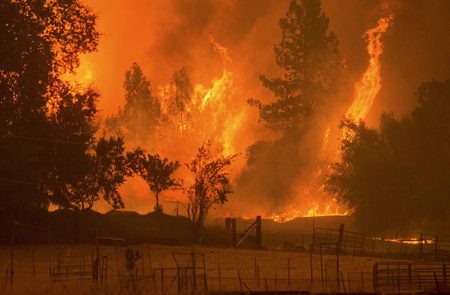 Flames from the Butte fire rise over a pasture in Mountain Ranch