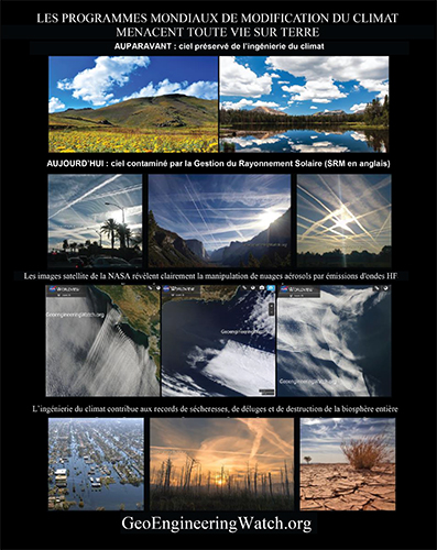 Geoengineering Watch Flyer